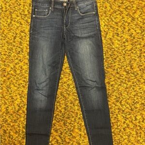 American Eagle Outfitters Skinny Jeans